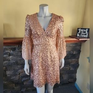 NWT Sequin Dress